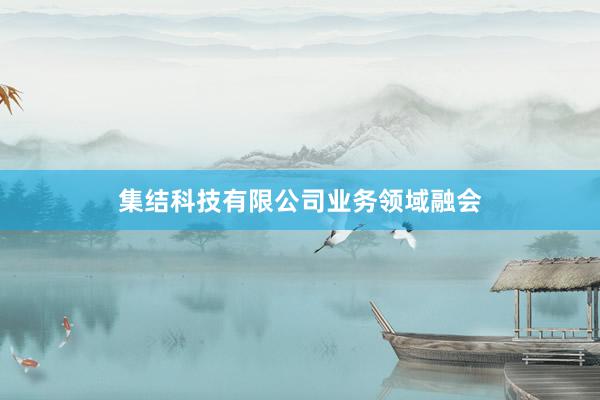 集结科技有限公司业务领域融会