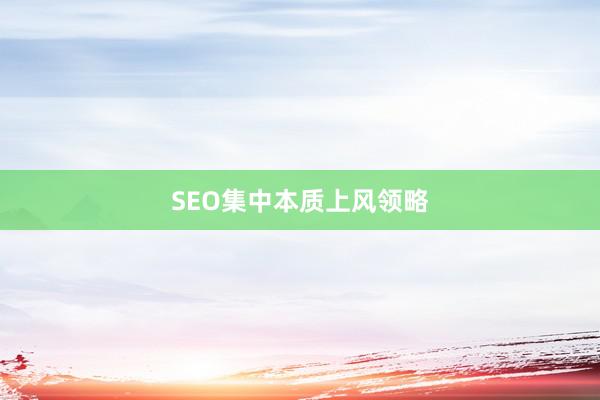 SEO集中本质上风领略