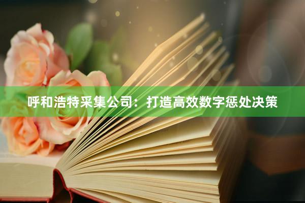 呼和浩特采集公司：打造高效数字惩处决策