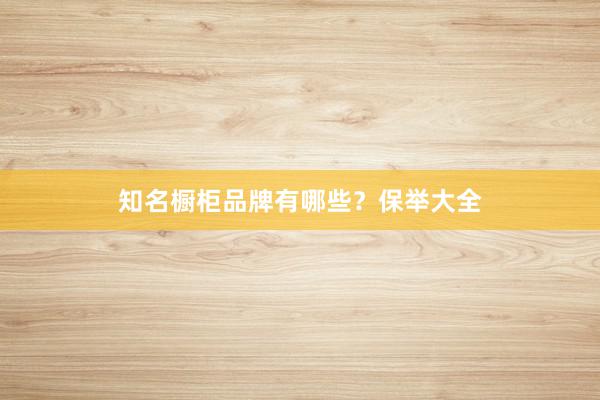 知名橱柜品牌有哪些？保举大全