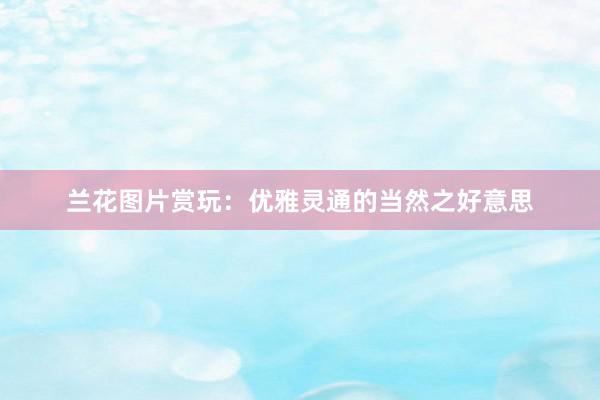 兰花图片赏玩：优雅灵通的当然之好意思