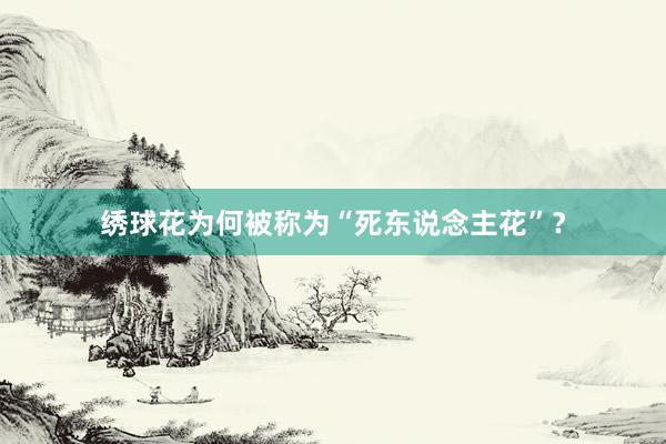 绣球花为何被称为“死东说念主花”？