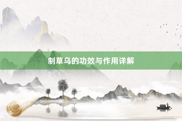制草乌的功效与作用详解