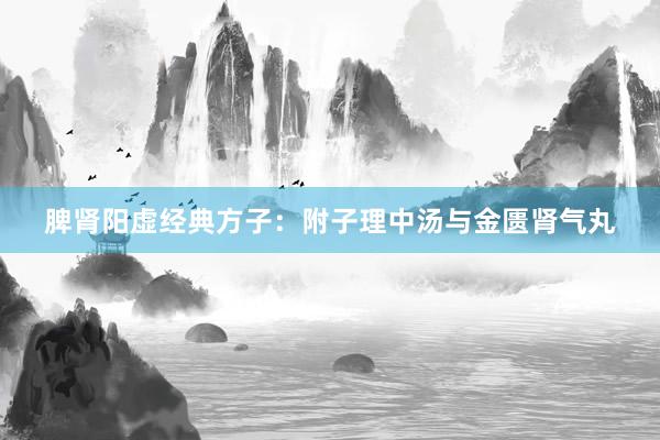 脾肾阳虚经典方子:附子理中汤与金匮肾气丸
